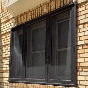 mesh window guards