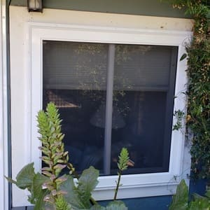 viewguard window guard